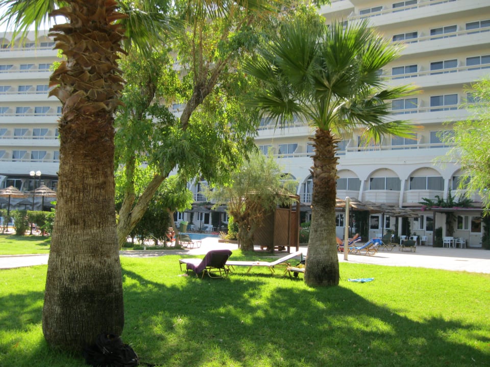 Liegewiese am Pool Olympos Beach Hotel