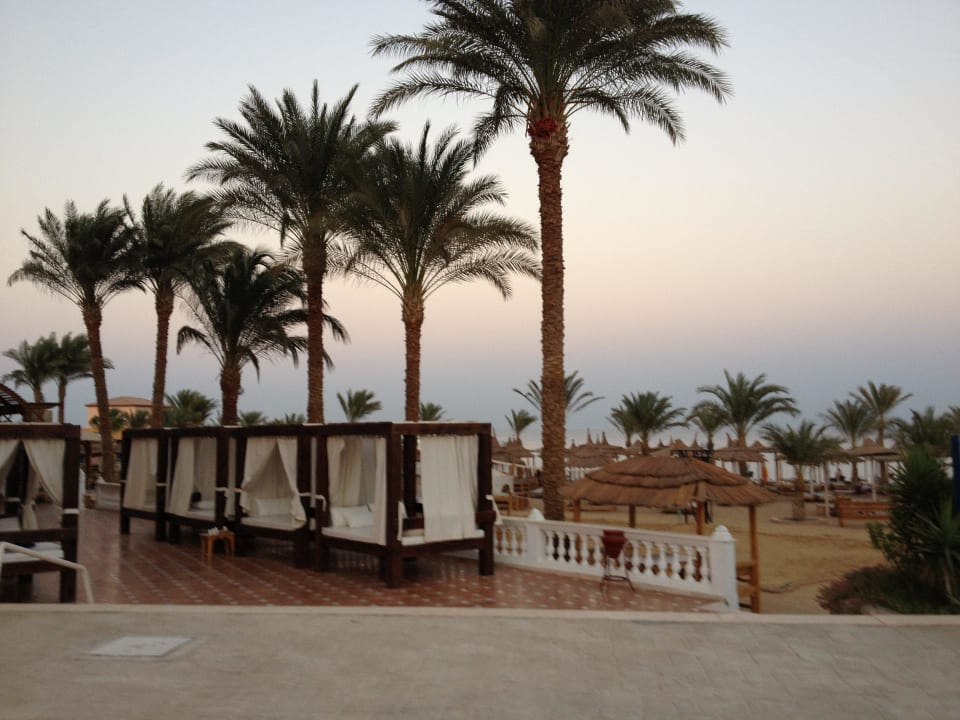 Pool/Strand Liegen Beach Albatros Resort
