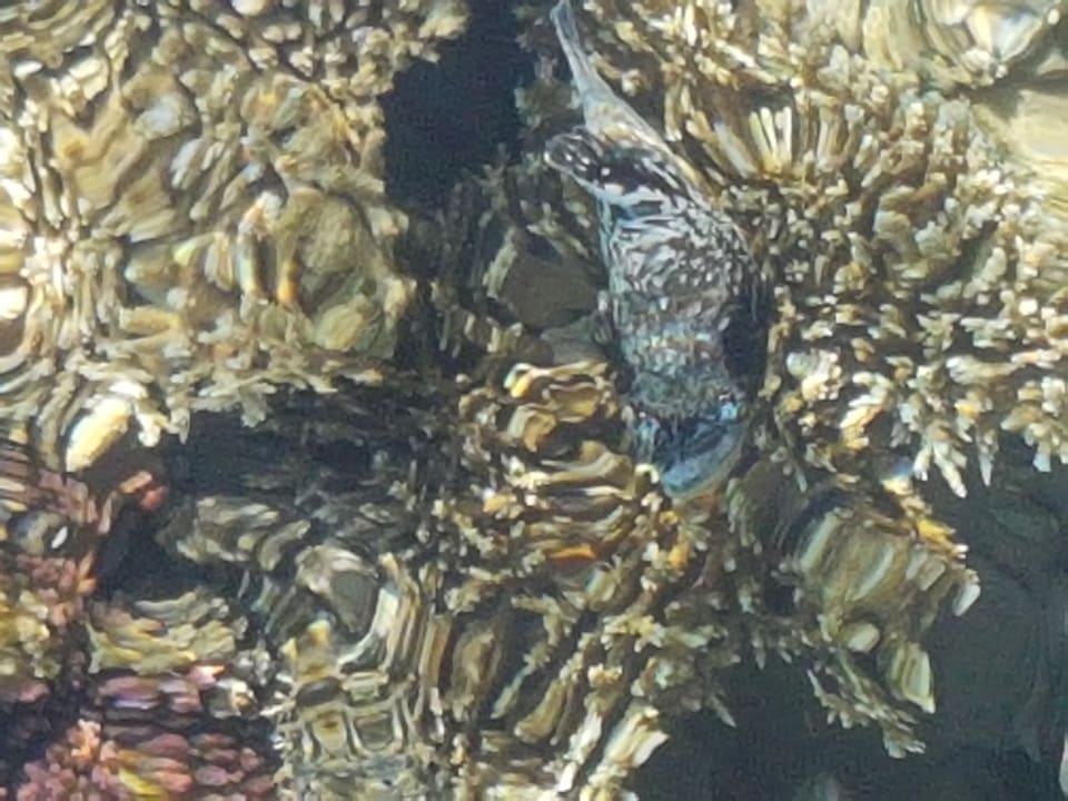 Sport & Freizeit Cleopatra Luxury Resort Makadi Bay