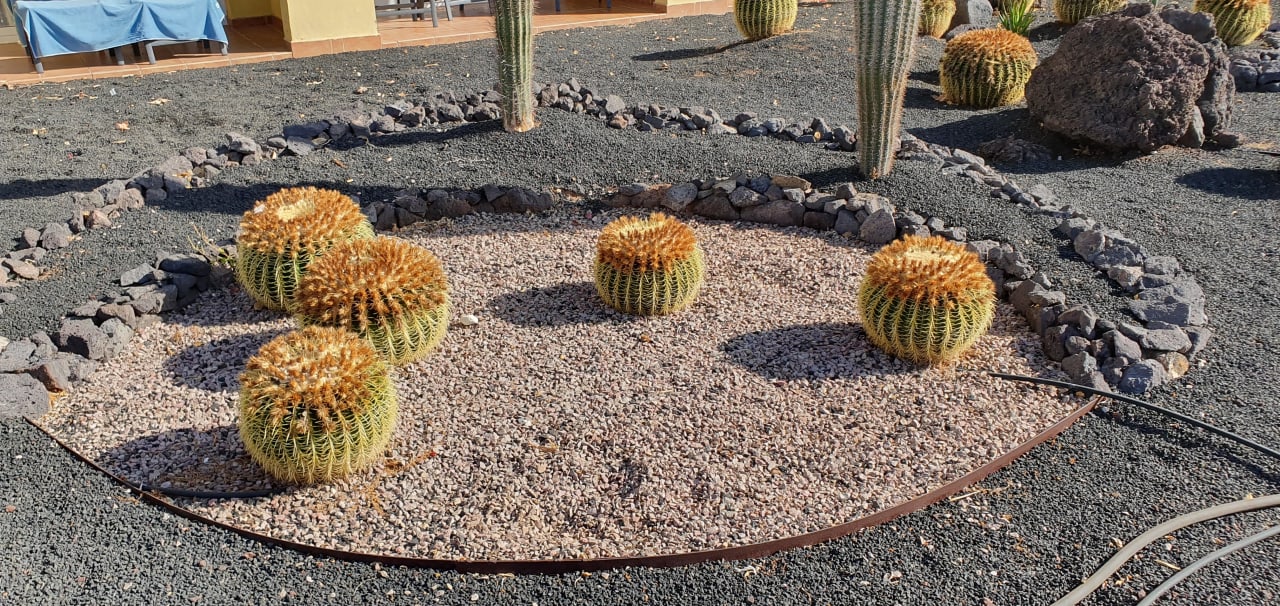 Sonstiges Occidental Jandía Royal Level - Adults only