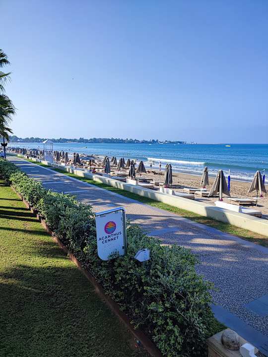 Strand Acanthus Cennet Barut Collection