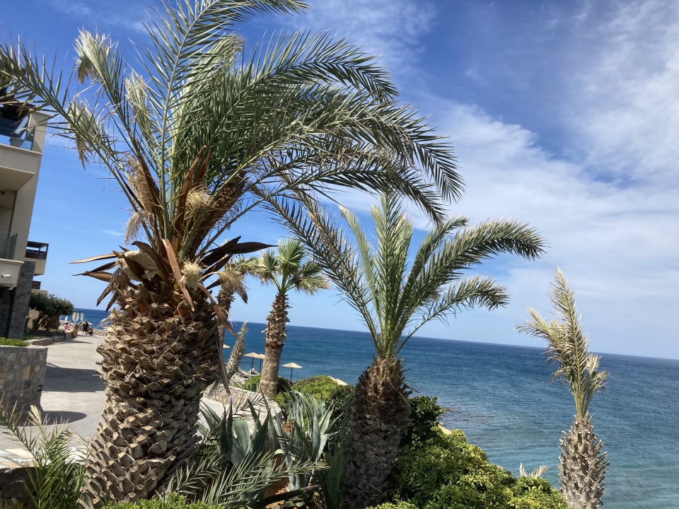 Ausblick Nana Golden Beach