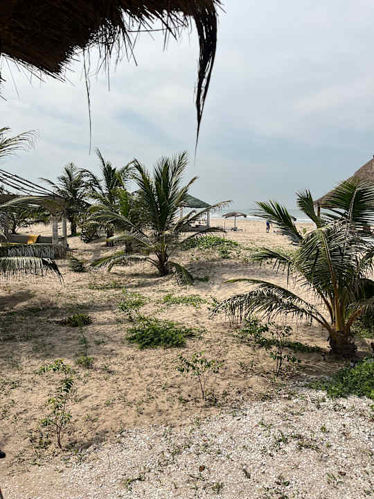 Gartenanlage Bosofet Beach and Creek Lodge