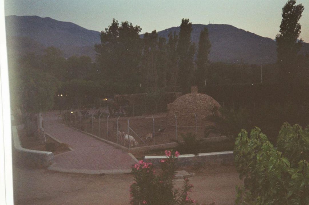 Streichelzoo Hotel Mare Monte Beach