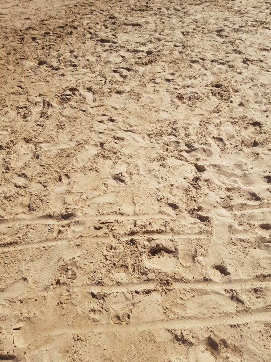 Strand Pickalbatros White Beach Resort - Hurghada