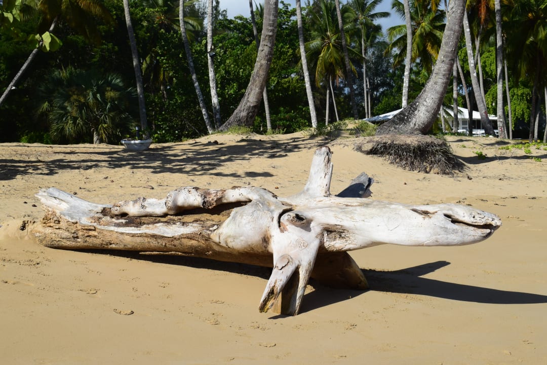 Strand Bahia Principe Grand El Portillo