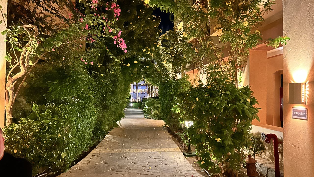 Gartenanlage Steigenberger Coraya Beach - Adults only