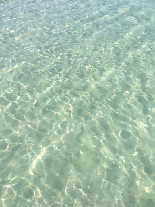 Crystal Clear Sea