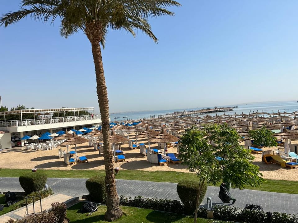 Ausblick Pickalbatros Dana Beach Resort - Hurghada