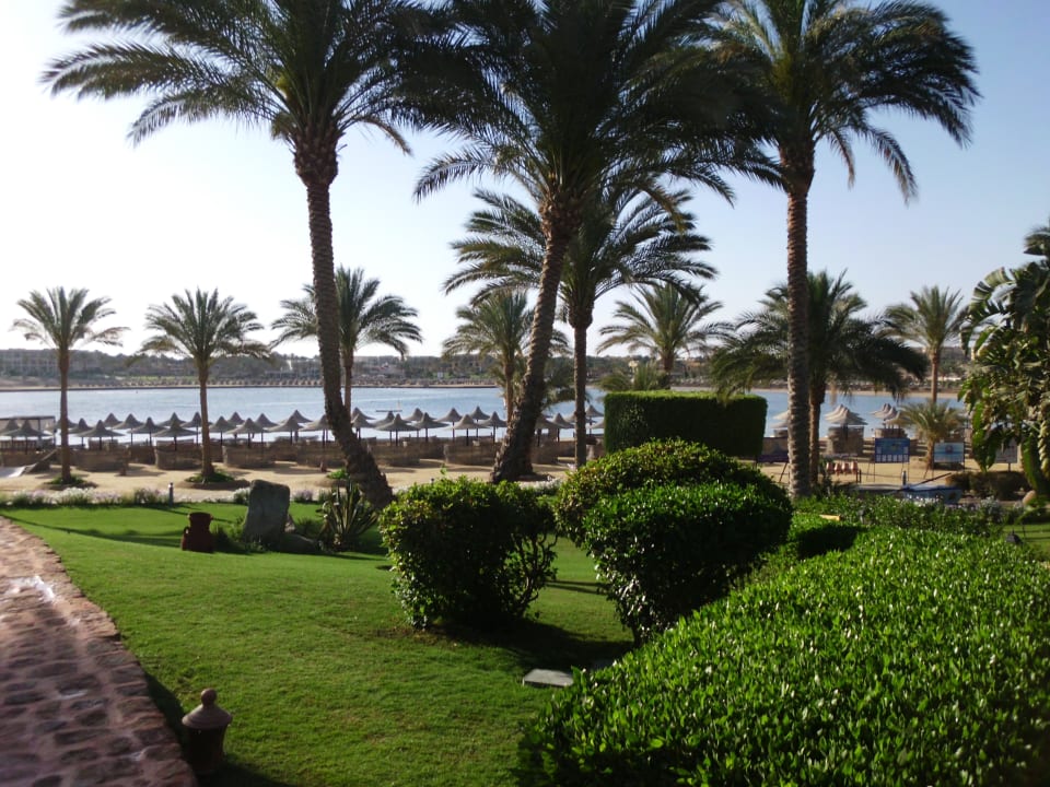 Strand Steigenberger Coraya Beach - Adults only