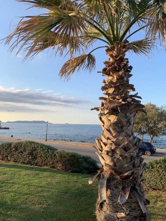 Gartenanlage TUI BLUE Insula Alba