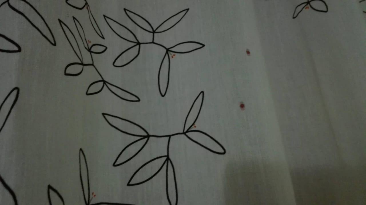 Flecken auf dem Vorhang  Captain's Apartments Barbati