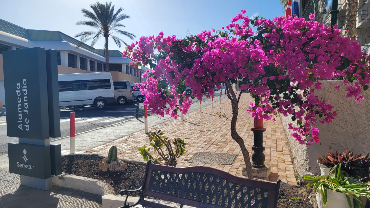 Sonstiges Servatur Alameda de Jandía