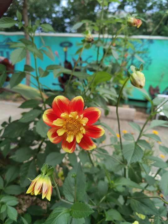 Gartenanlage Mondorf Parc Hotel