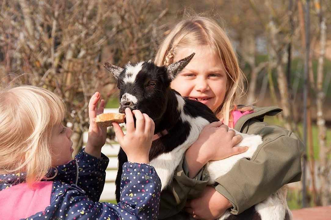 Arkadenhof Arkadenhof Familie Flasch