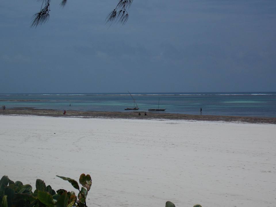 Ausblick Hotel Papillon Lagoon Reef