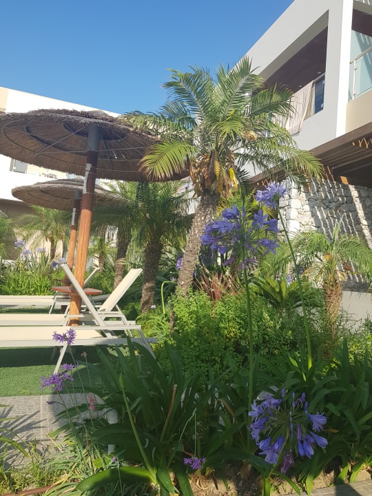 Pool Blue Lagoon Resort