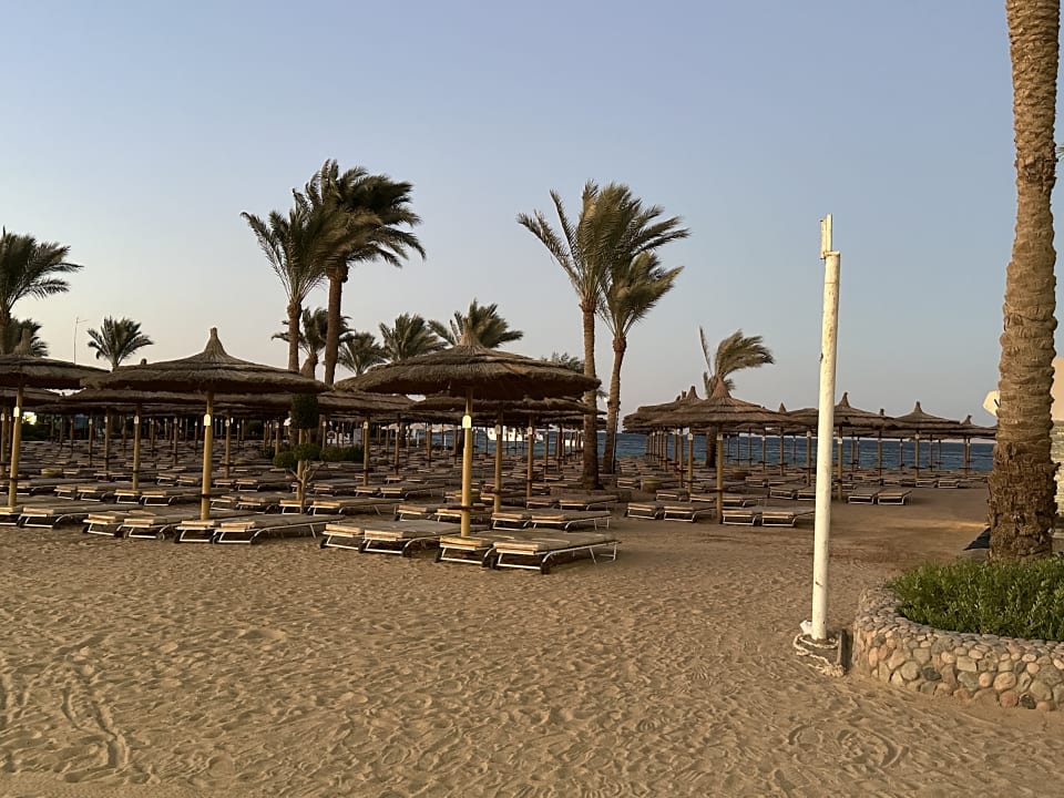 Strand Seagull Beach Resort