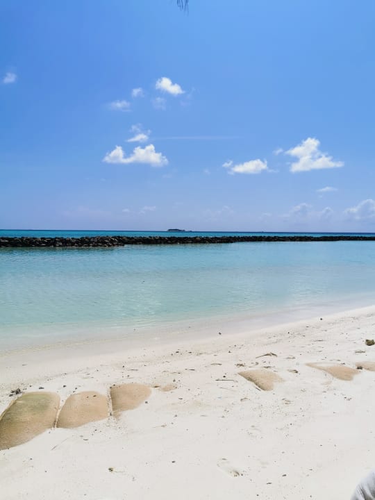 Strand Summer Island Maldives