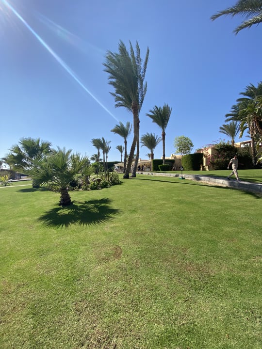 Gartenanlage Steigenberger Coraya Beach - Adults only