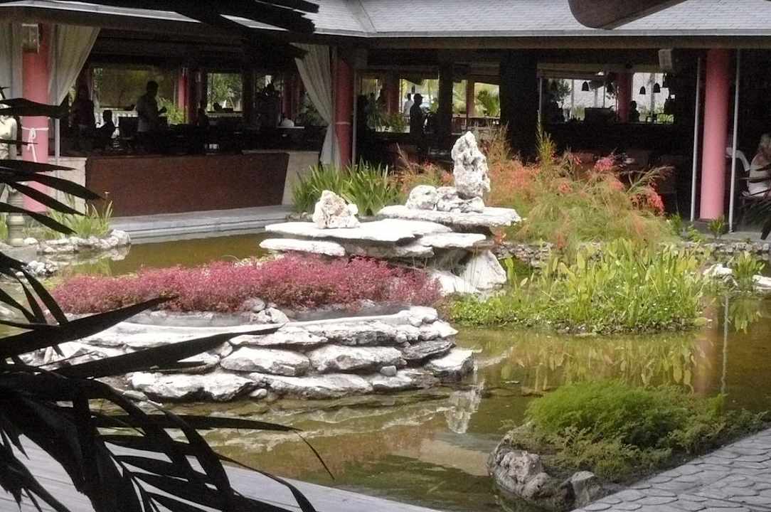 Wassergarten in Nähe der Rezeption Hotel Playa Pesquero