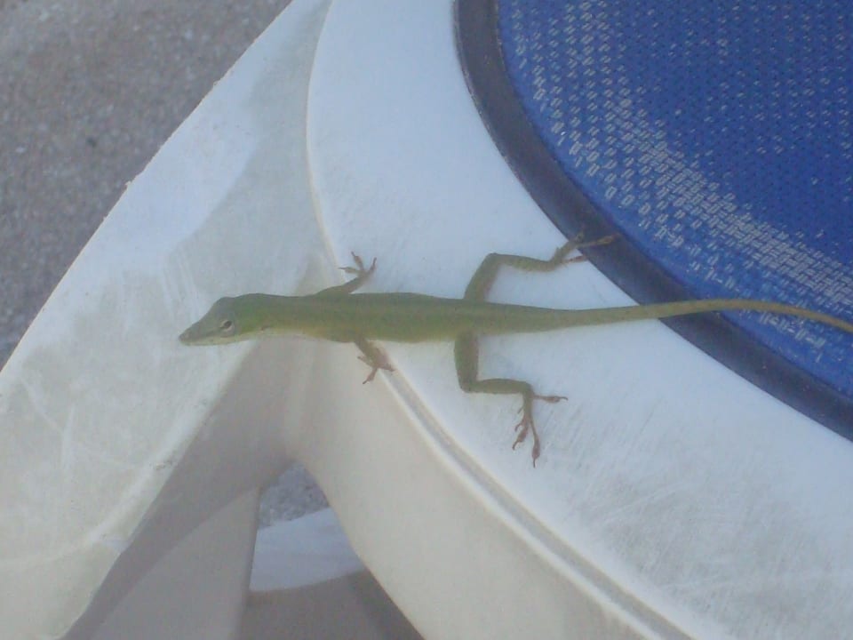 Sonstiges Sirenis Tropical Varadero