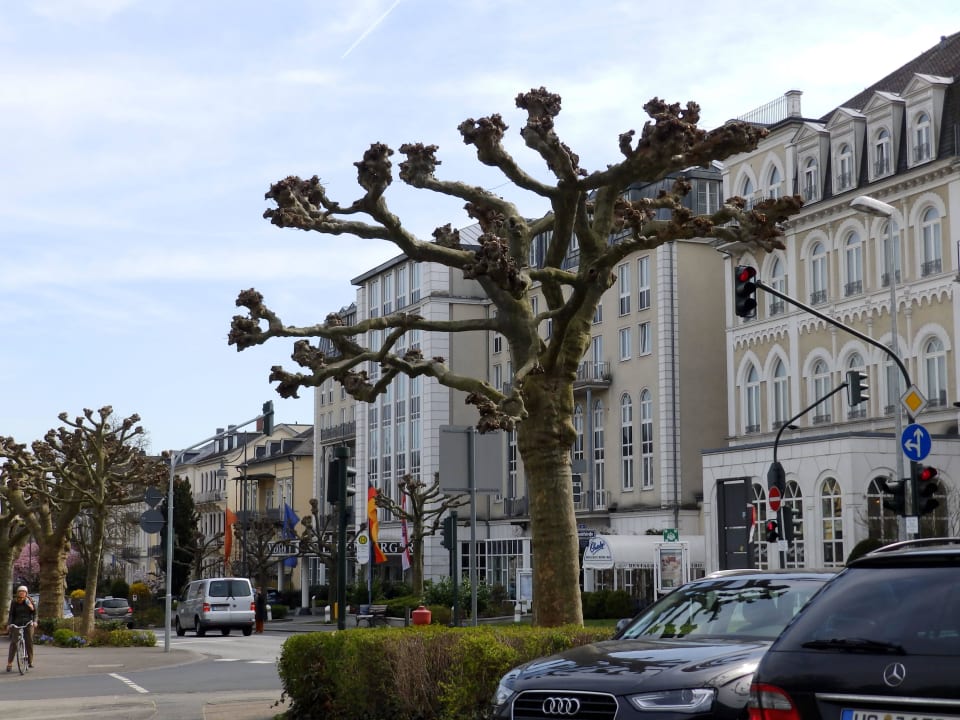 Vorderfront Steigenberger Hotel Bad Homburg