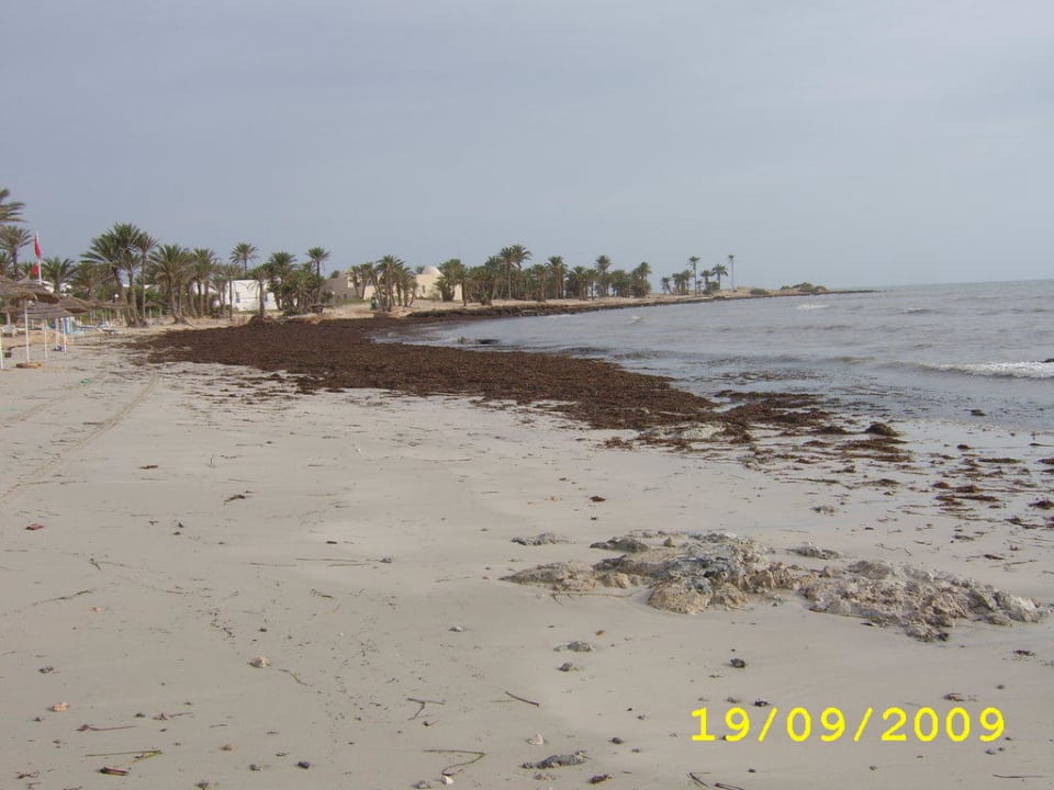 Algen Hotel El Mouradi Djerba Menzel