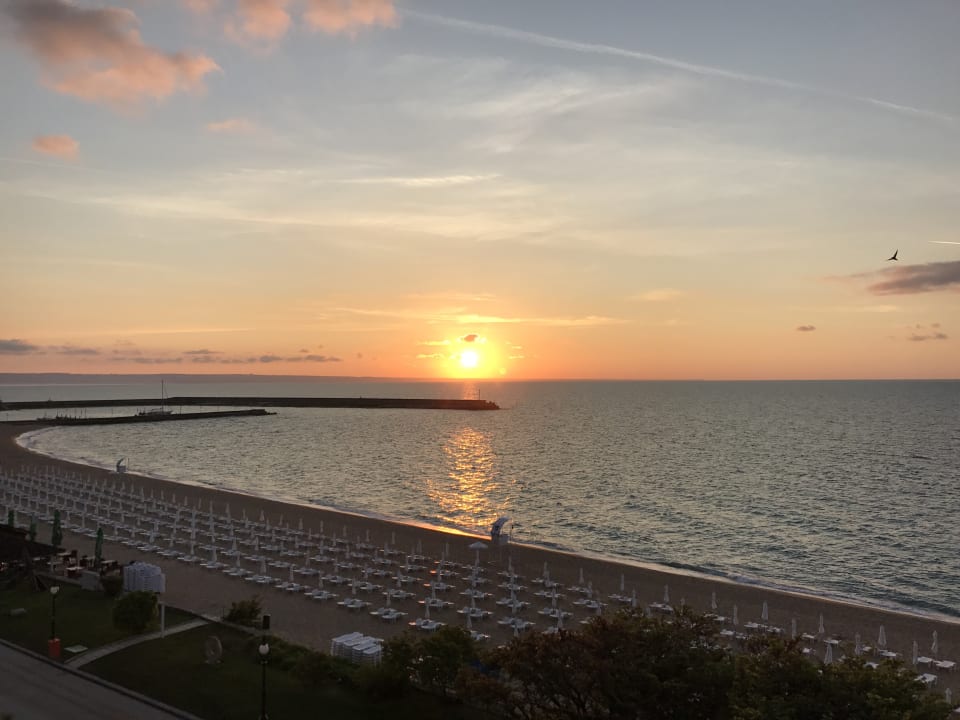 Strand Sentido Marea
