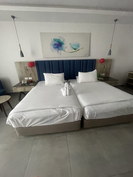 Zimmer Pickalbatros Blu Spa Resort
