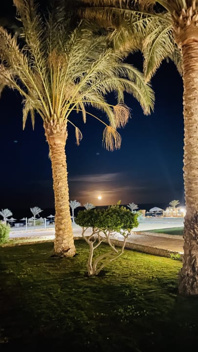 Gartenanlage Three Corners Sea Beach Resort