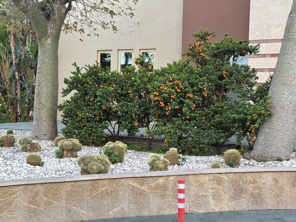 Gartenanlage Sunis Kumköy Beach Resort Hotel & Spa