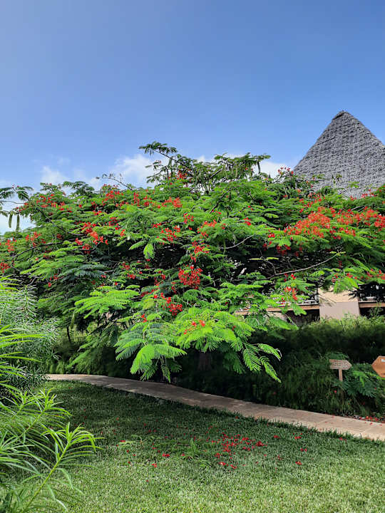 Ausblick Neptune Pwani Beach Resort & Spa