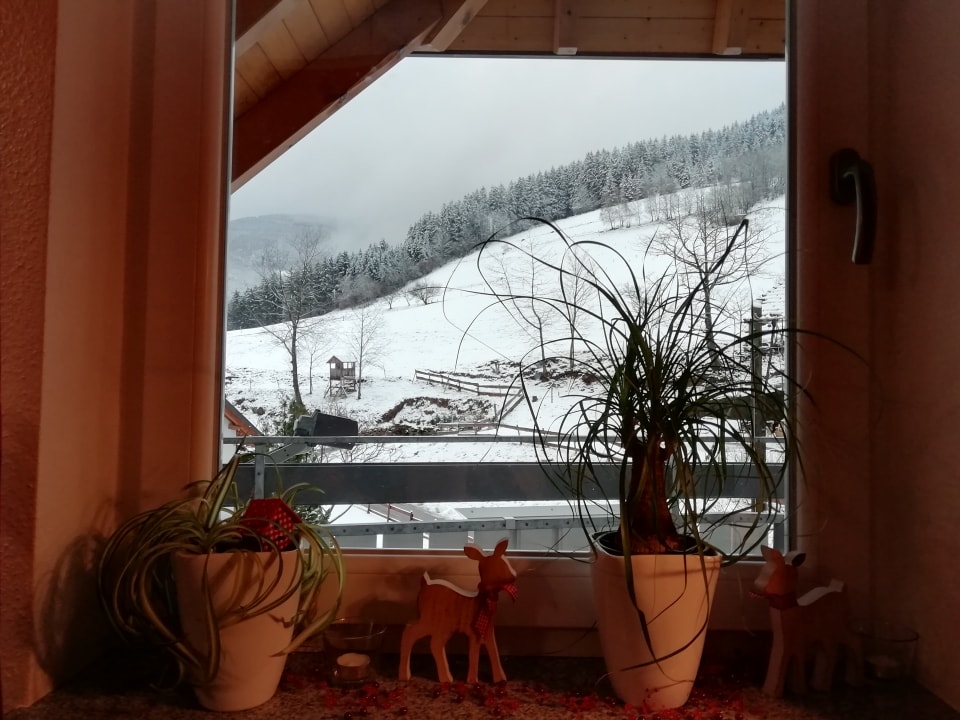 Ausblick Bauernhof Bernhardenhof