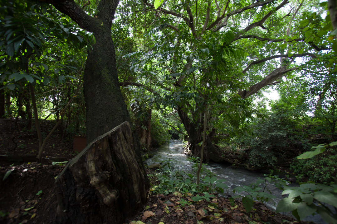 Fluss durchs Hotel Rivertrees Country Inn