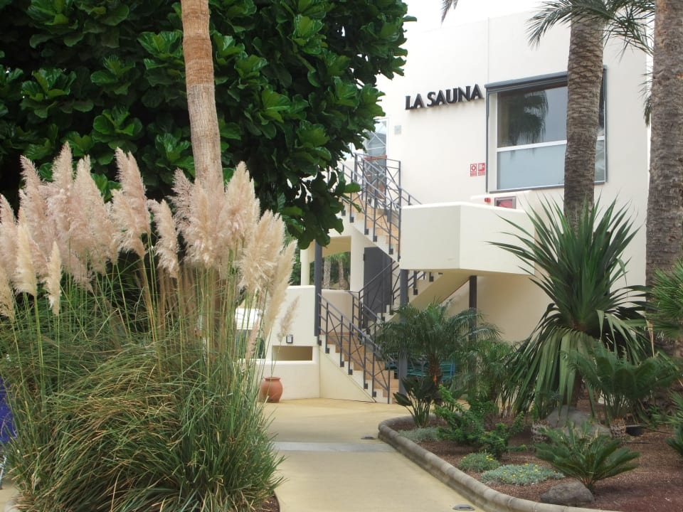 Sauna ROBINSON JANDIA PLAYA