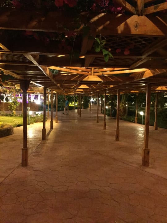 Gartenanlage Desert Rose