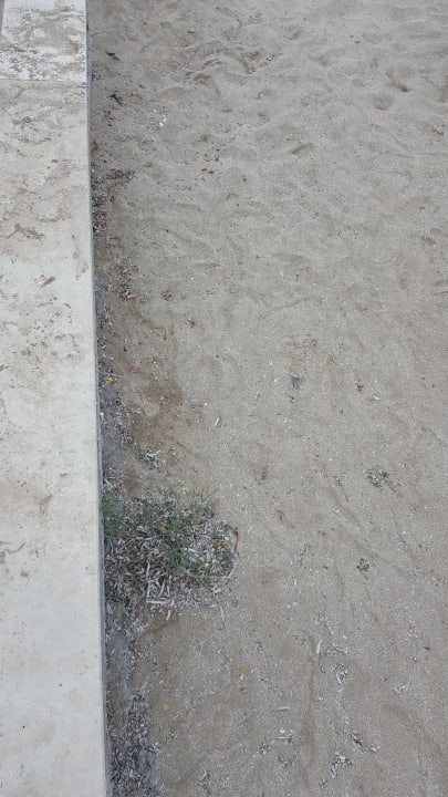 Sauberkeit? Fehlanzeige  Salamis Bay Conti Resort Hotel & Casino