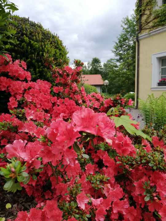 Gartenanlage Landschloss Ernestgrün