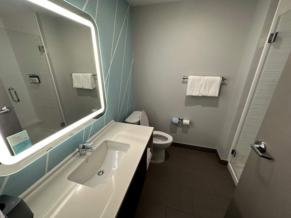 Zimmer avid hotels - Savannah South - Gateway by IHG