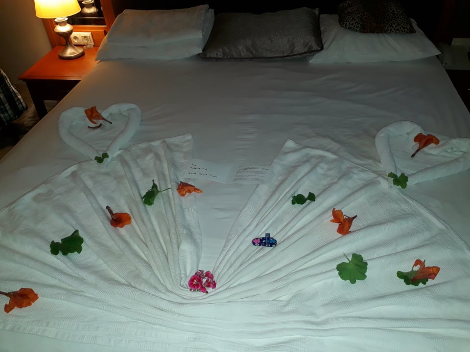 Zimmer Asteria Family Belek