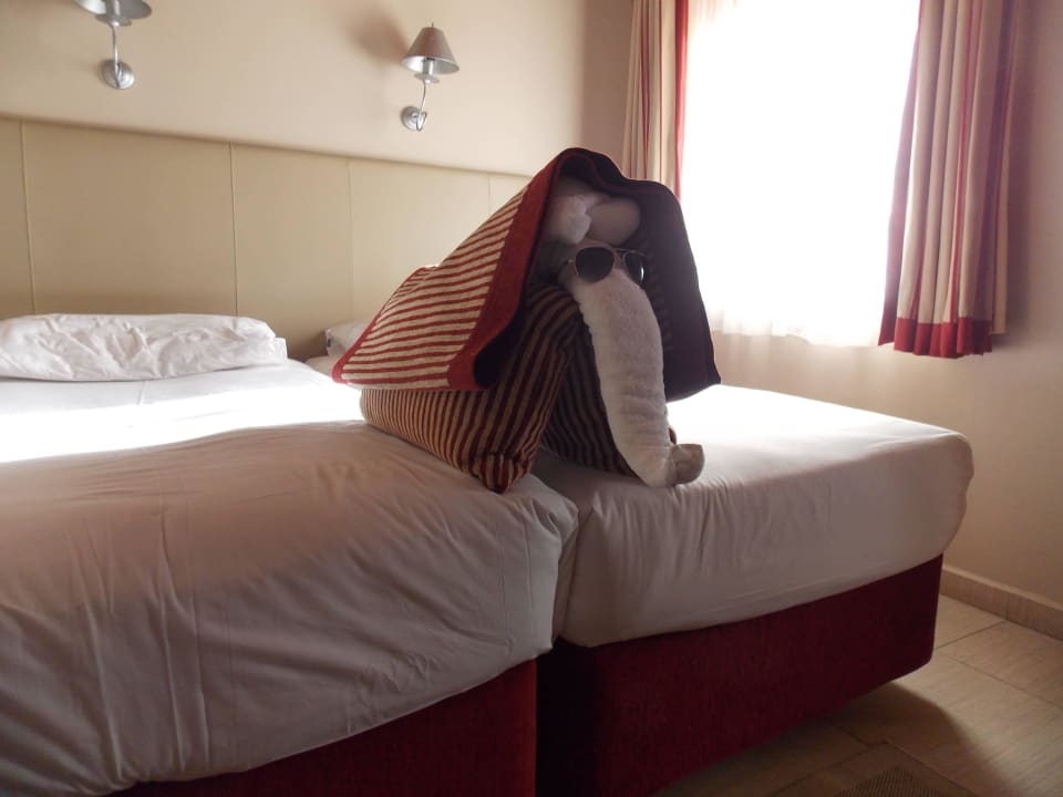 Zimmer Jaz Makadi Oasis Resort