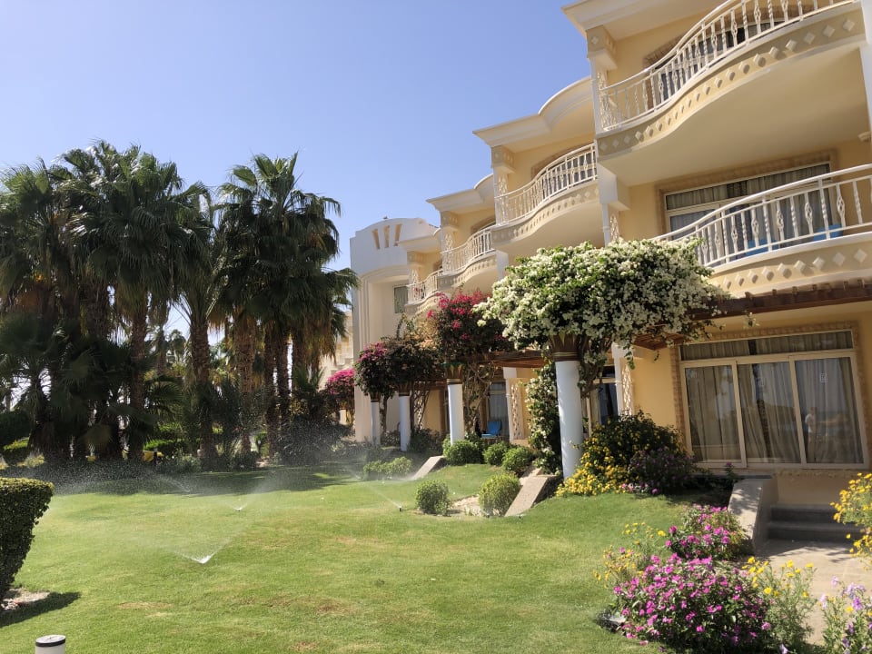 Gartenanlage Palm Royale Resort - Soma Bay