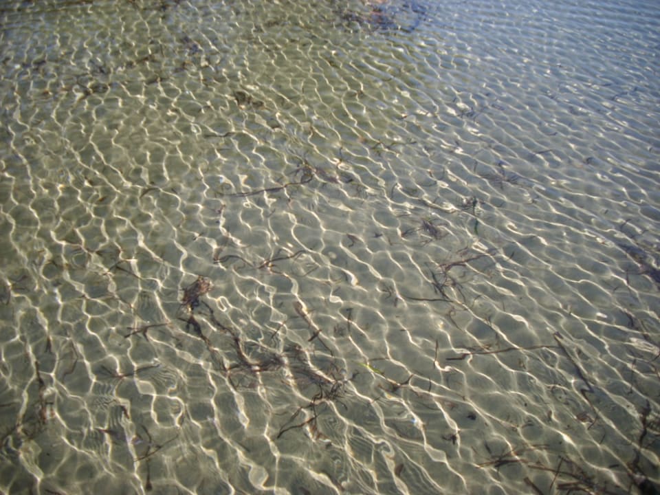 Klares Wasser Dogan Paradise Beach