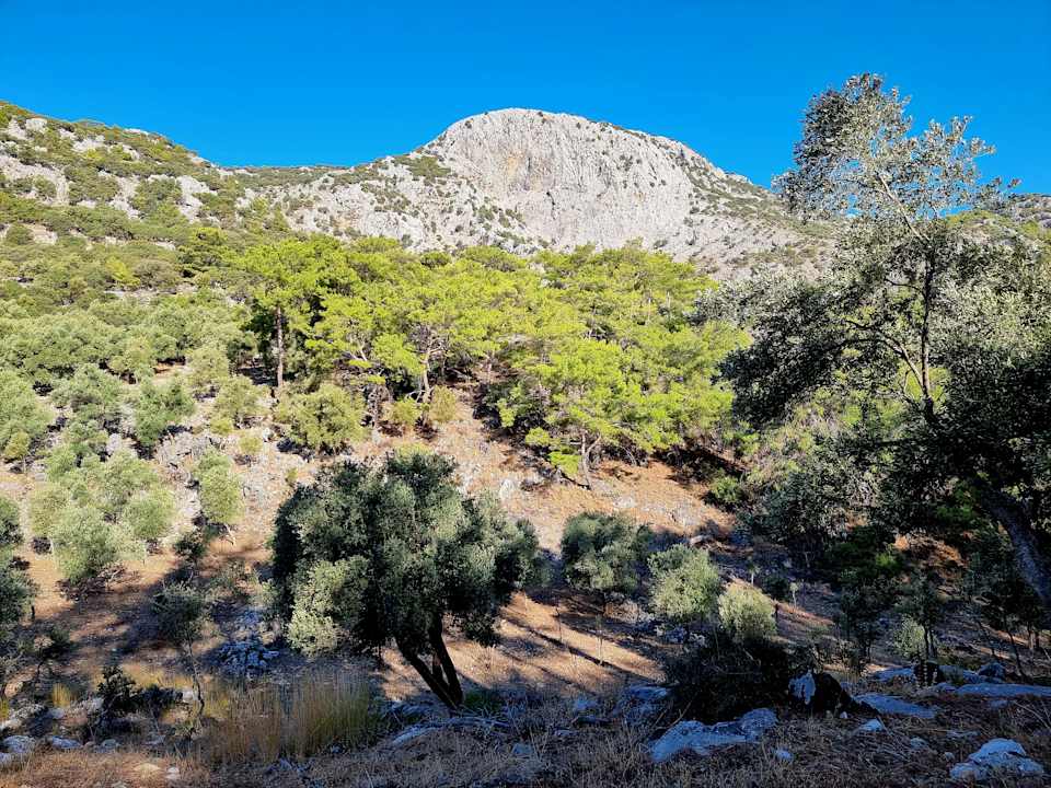 Sonstiges TUI BLUE Seno - Adults Only