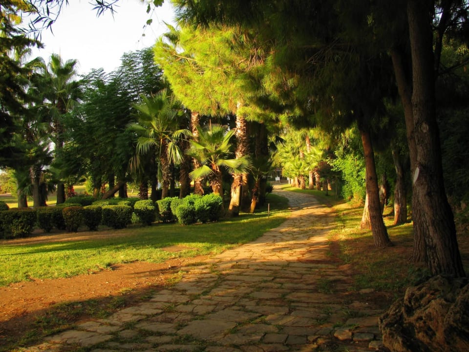 Парк по дороге к морю Hotel Özkaymak Falez