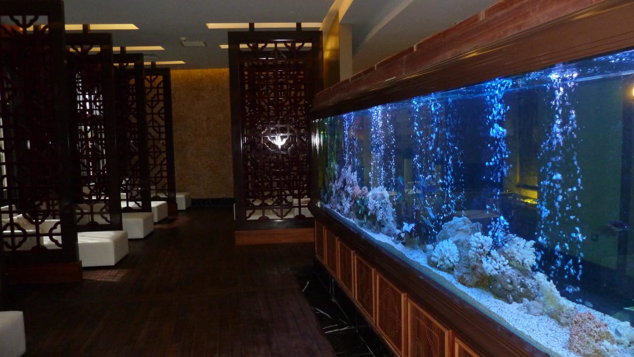 Spa-Bereich Hotel Delphin Imperial