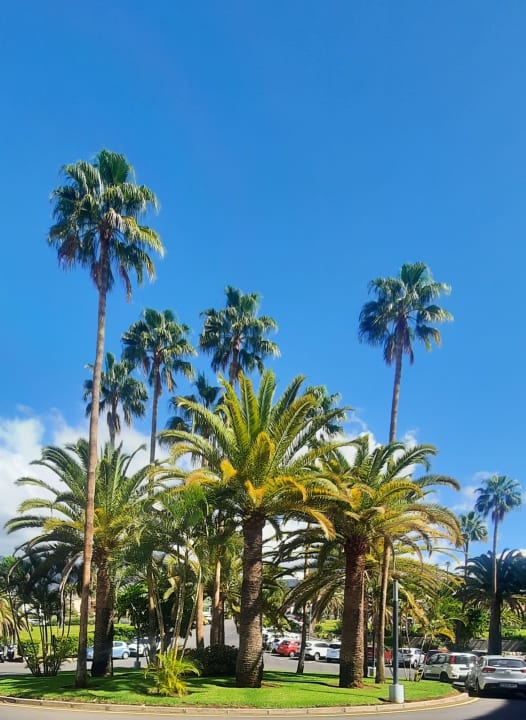 Ausblick Hotel Riu Arecas - Adults only