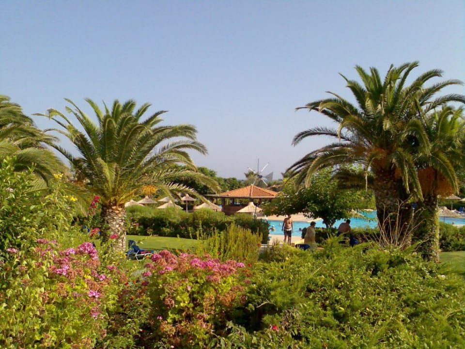 Blick Richtung Pool Anissa Beach & Village