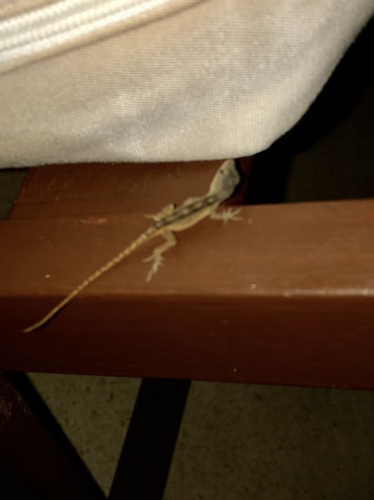 Sonstiges Blue Diamond Luxury Boutique Hotel